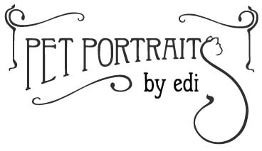 pet portraits by edi